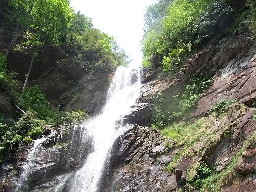 Osprey Mountain Way Sylva, NC 28779