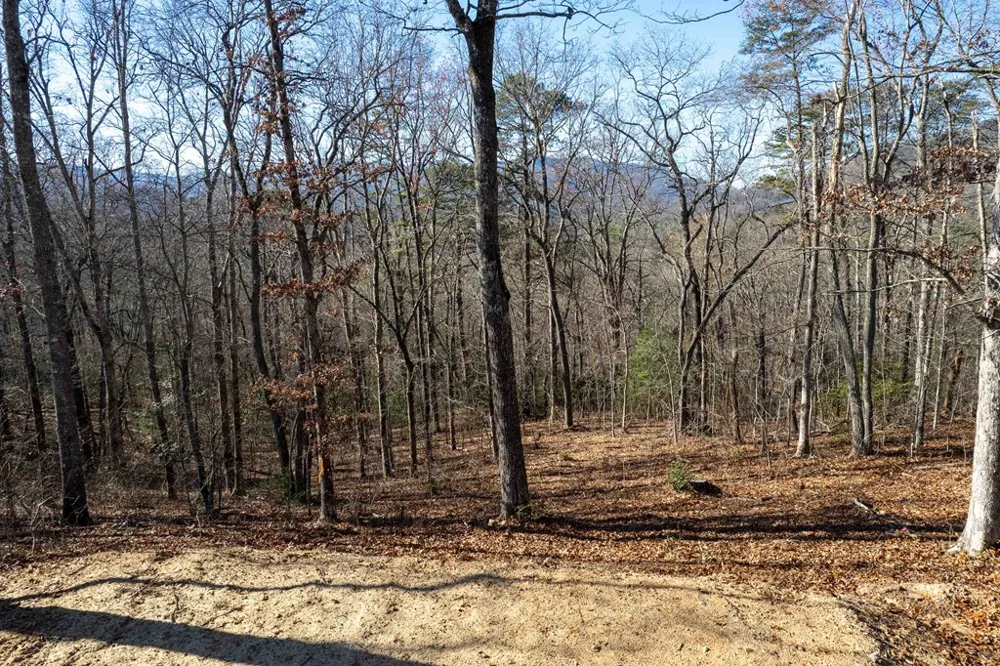 Osprey Mountain Way Sylva, NC 28779