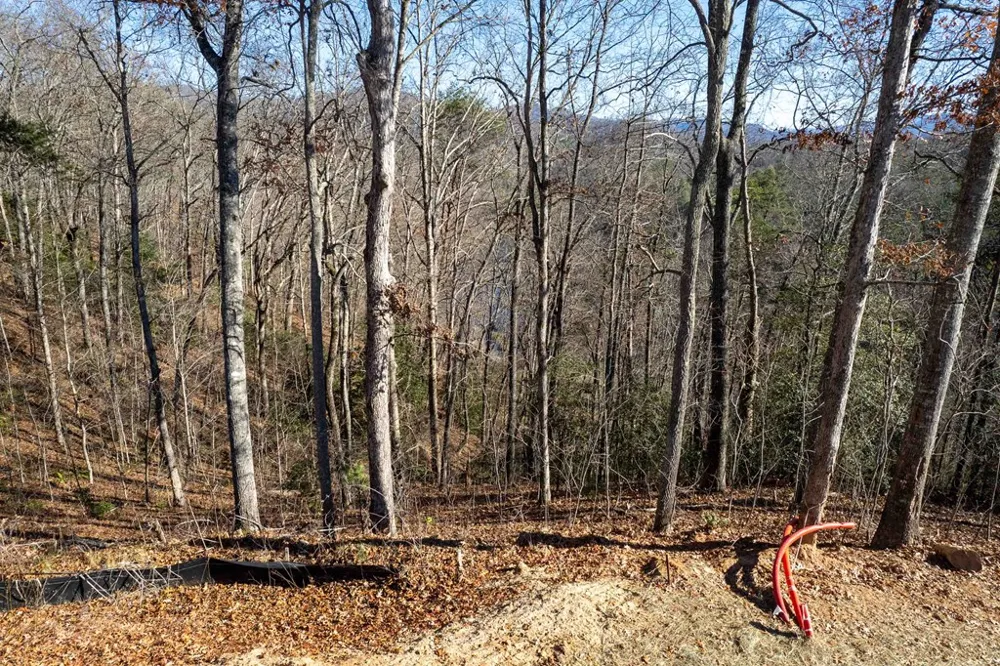 Osprey Mountain Way Sylva, NC 28779