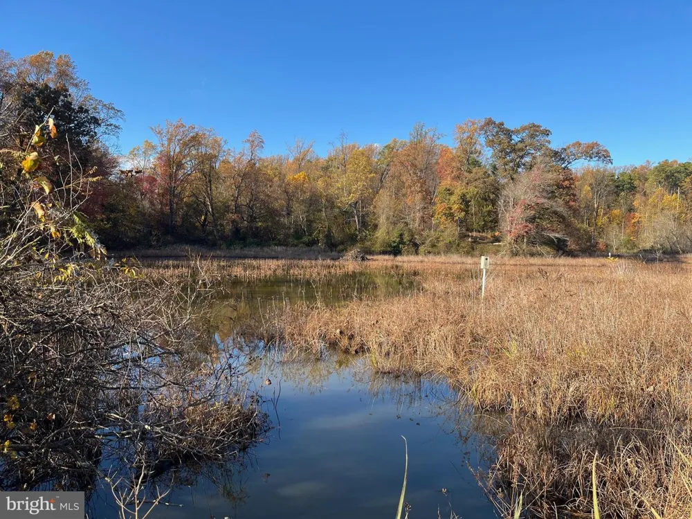 750 CASSIDY WHARF ROAD Earleville, MD 21919