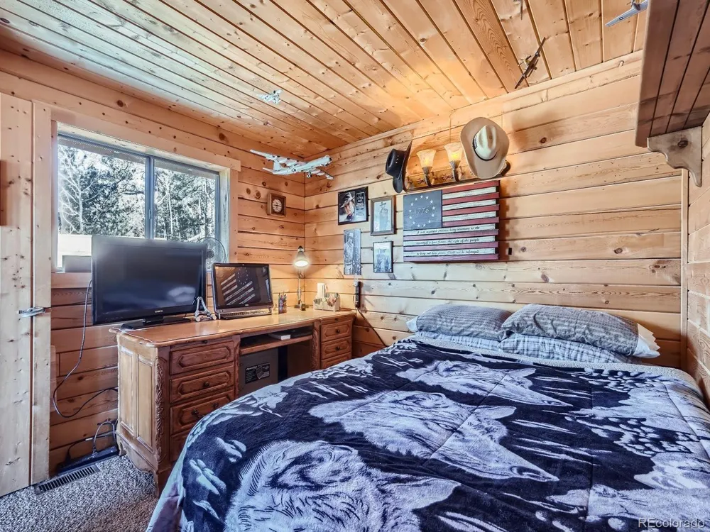 139 Hayes Road Bailey, CO 80421