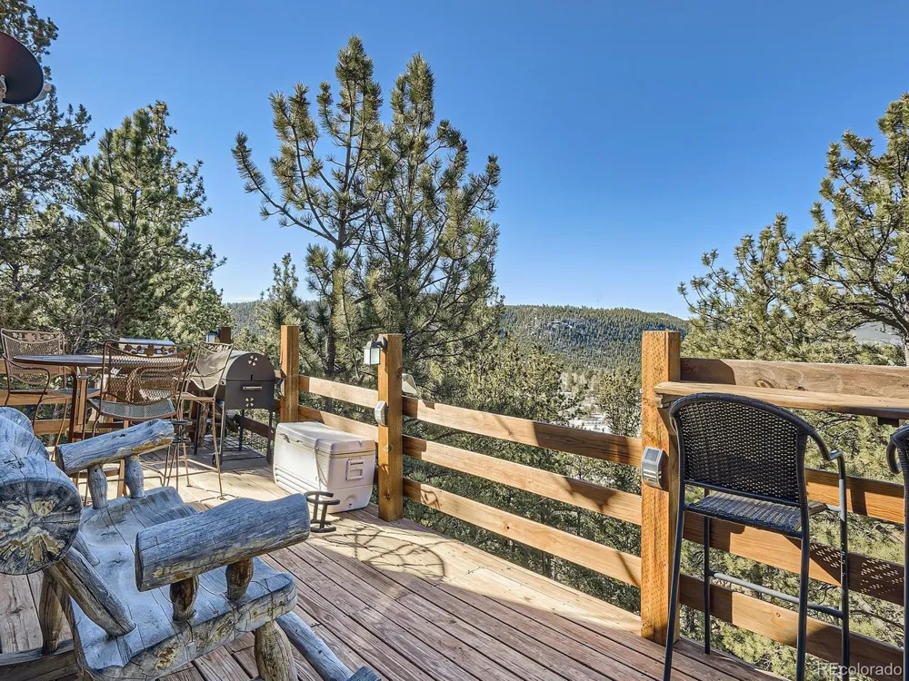 139 Hayes Road Bailey, CO 80421