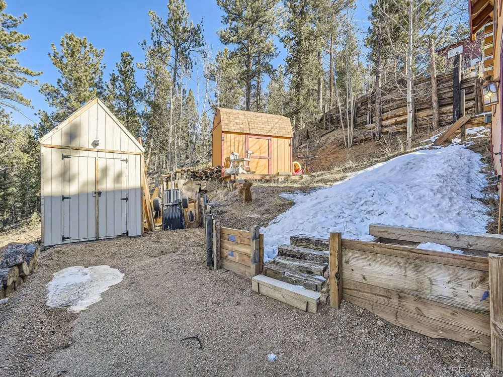 139 Hayes Road Bailey, CO 80421