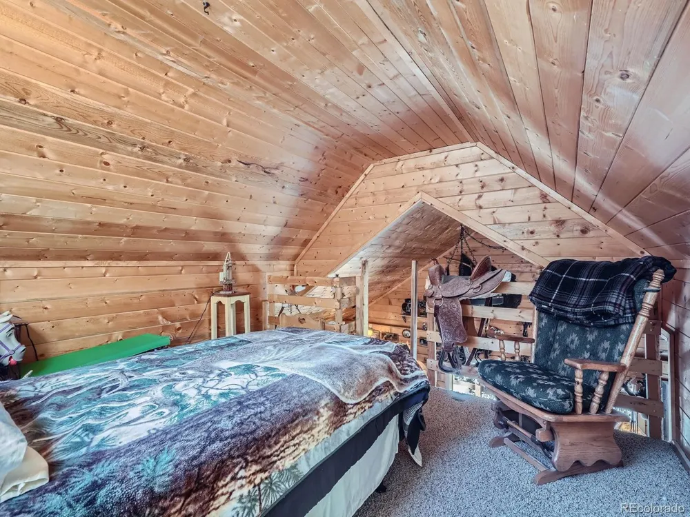 139 Hayes Road Bailey, CO 80421
