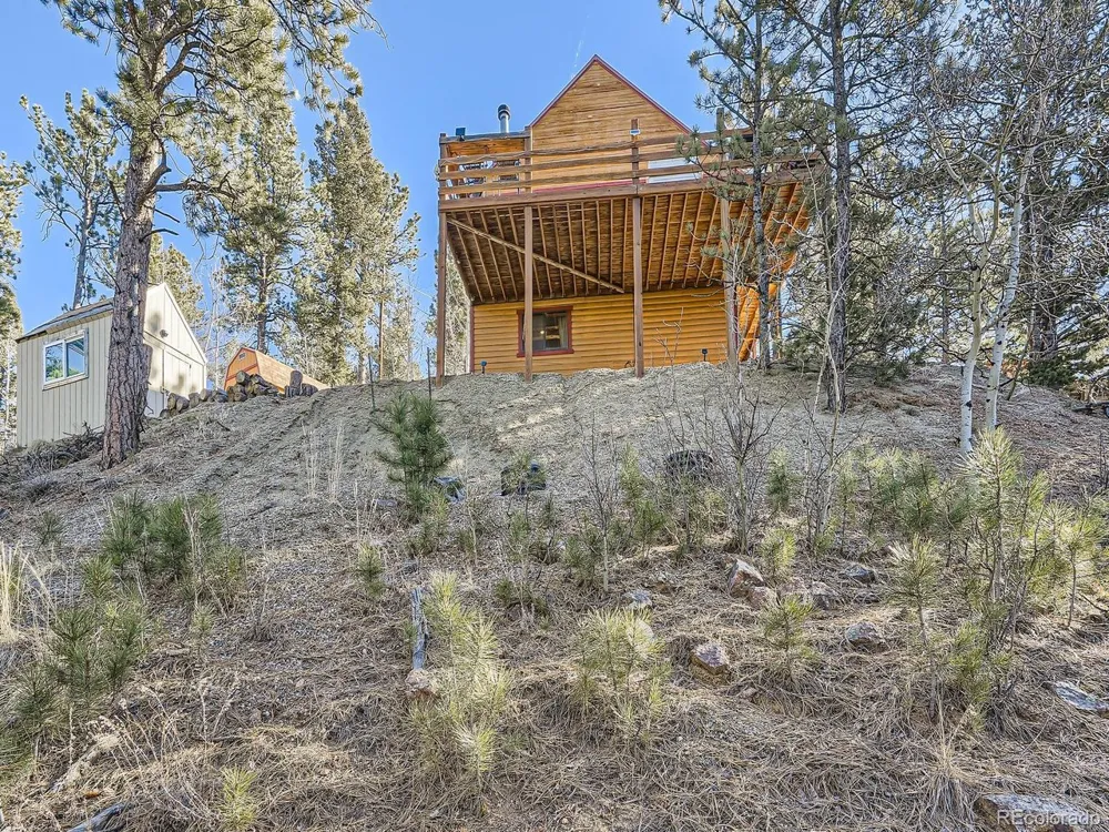 139 Hayes Road Bailey, CO 80421