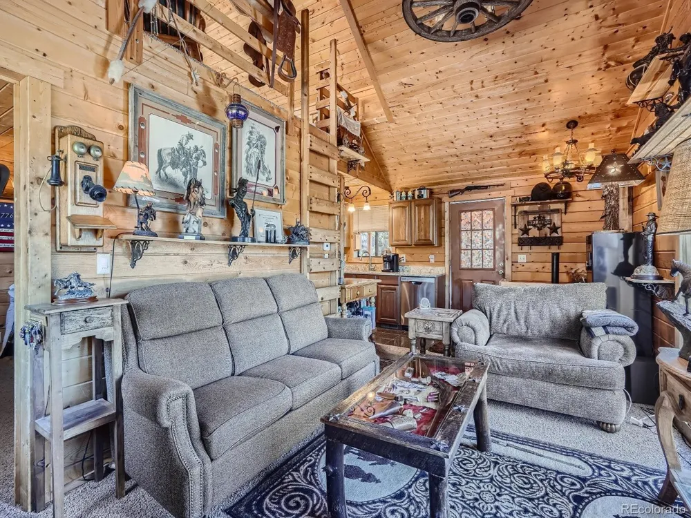 139 Hayes Road Bailey, CO 80421