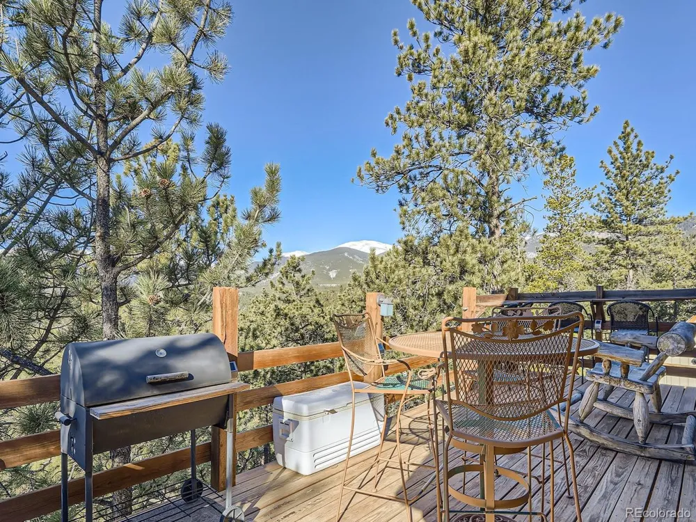 139 Hayes Road Bailey, CO 80421