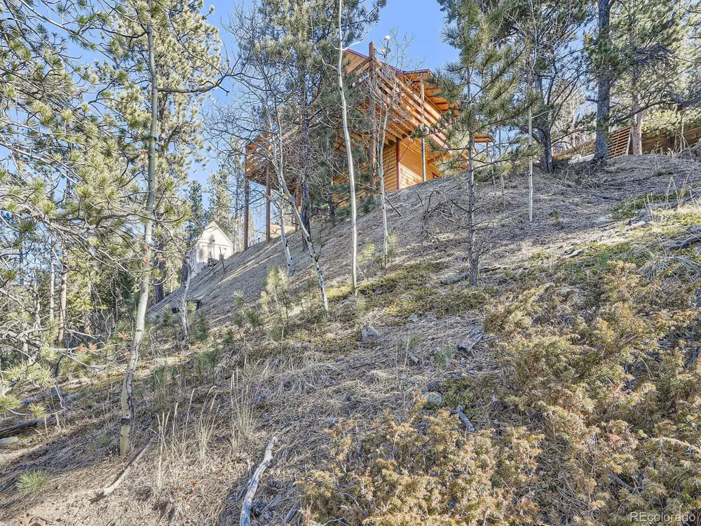 139 Hayes Road Bailey, CO 80421