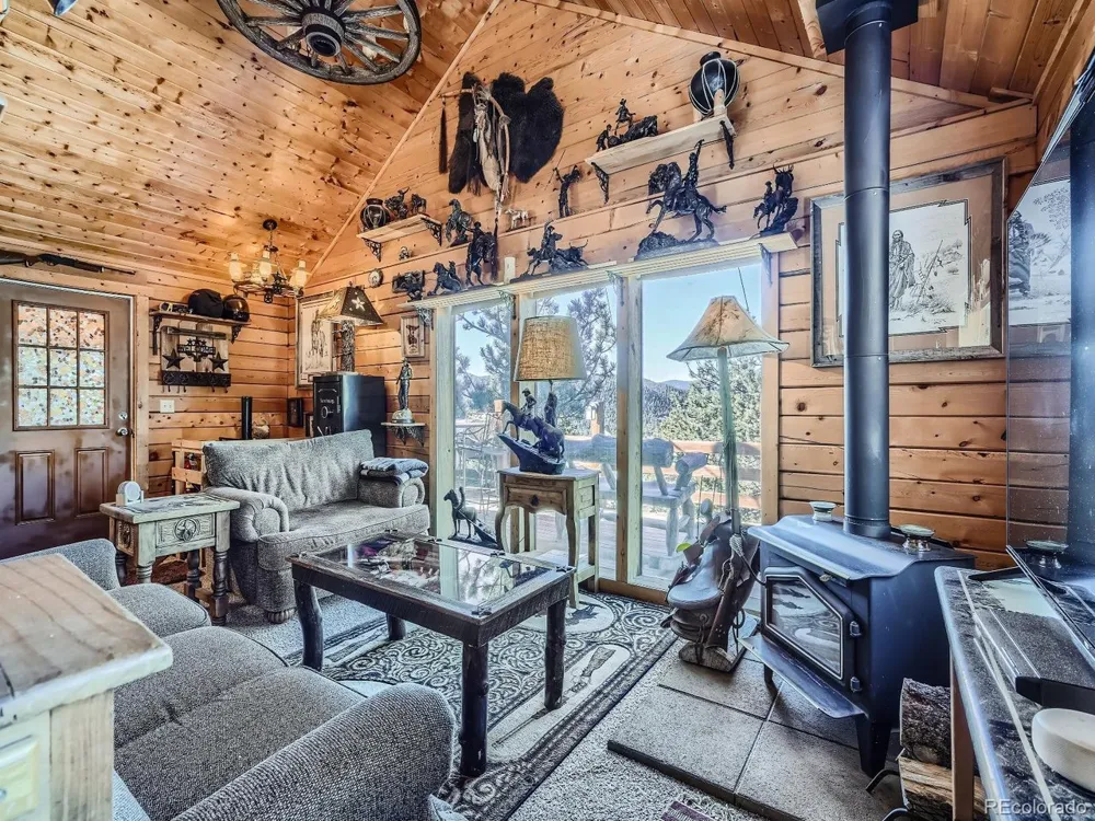 139 Hayes Road Bailey, CO 80421
