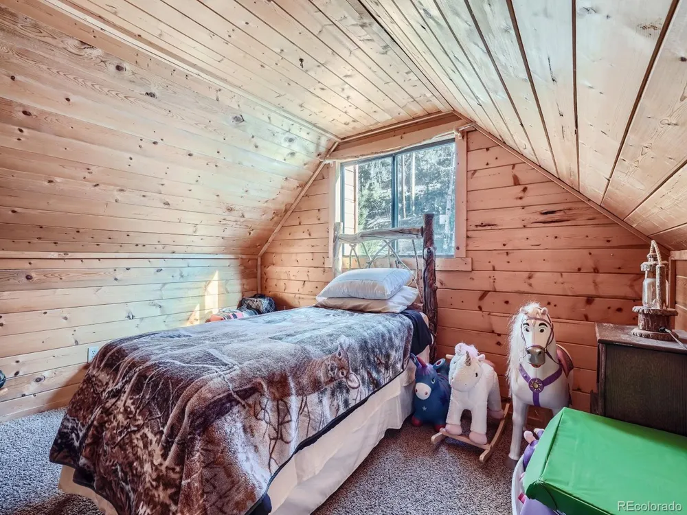 139 Hayes Road Bailey, CO 80421