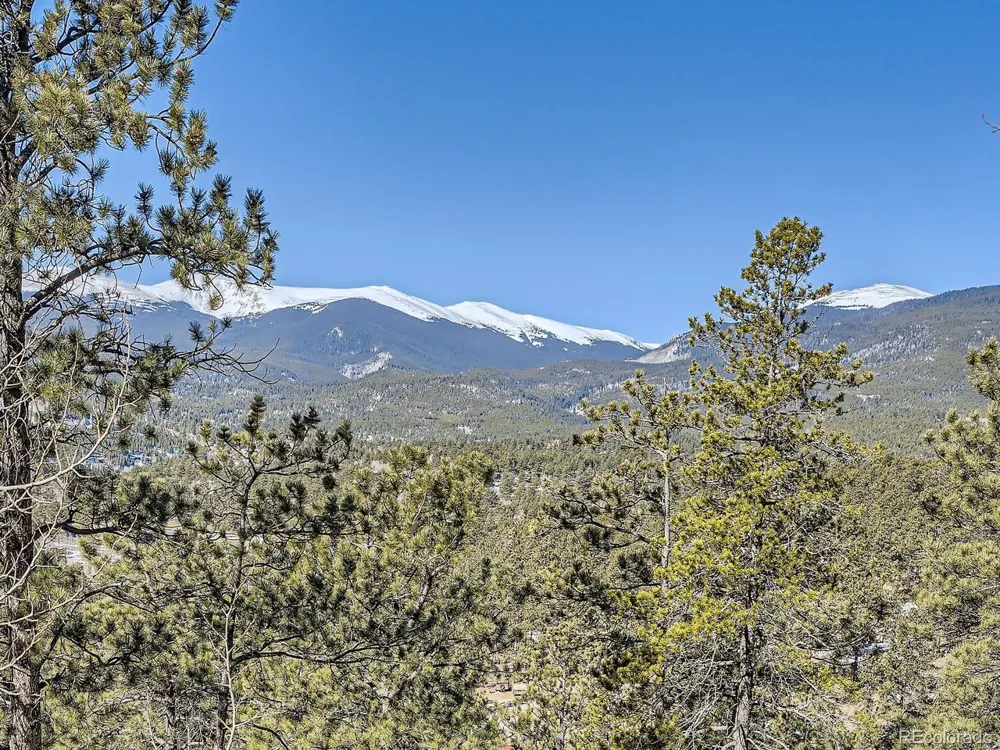 139 Hayes Road Bailey, CO 80421