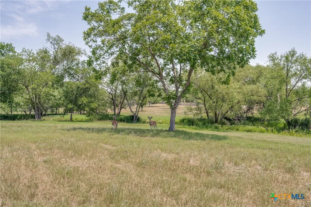 10745 Rosemar Lane Adkins, TX 78101