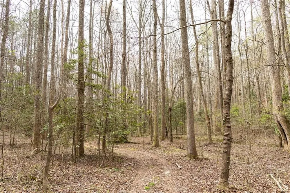 0 Reagan Road Dawsonville, GA 30534