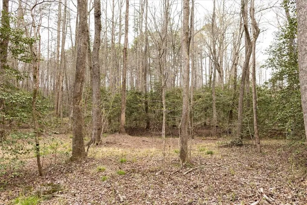 0 Reagan Road Dawsonville, GA 30534