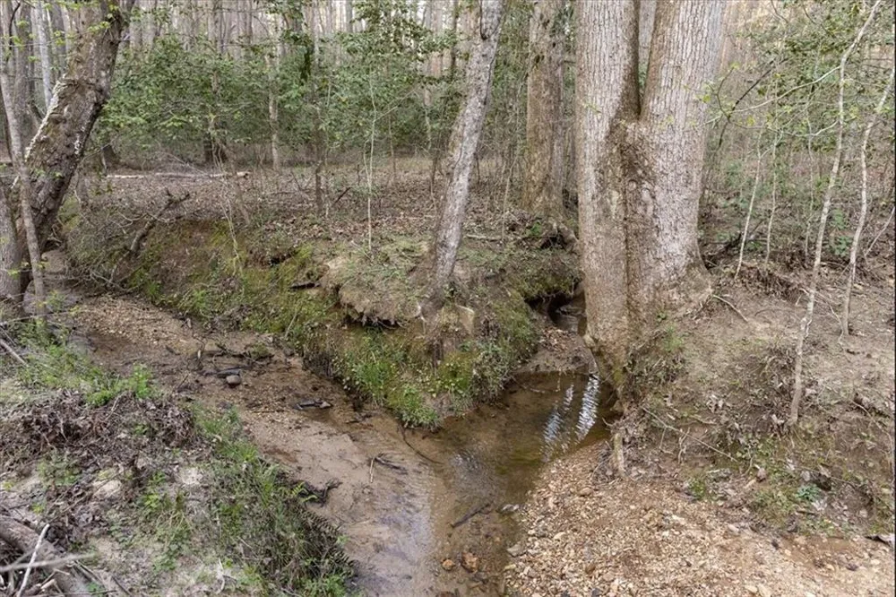 0 Reagan Road Dawsonville, GA 30534