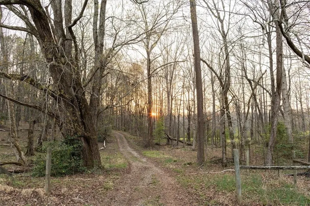 0 Reagan Road Dawsonville, GA 30534
