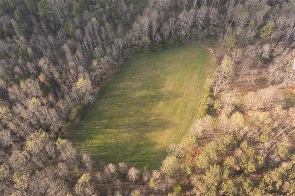 0 Reagan Road Dawsonville, GA 30534