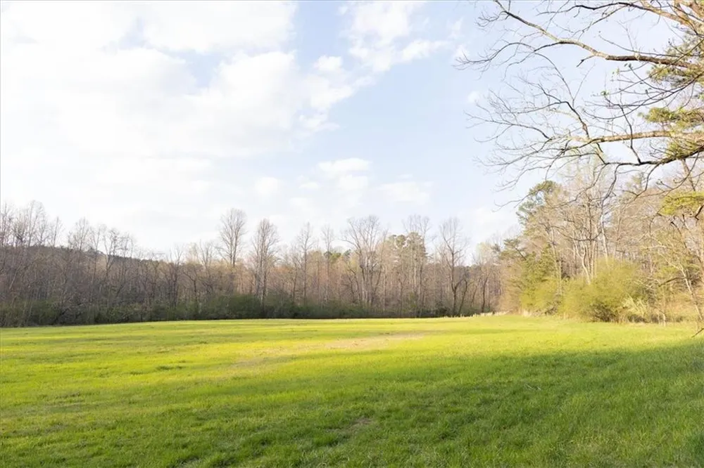 0 Reagan Road Dawsonville, GA 30534