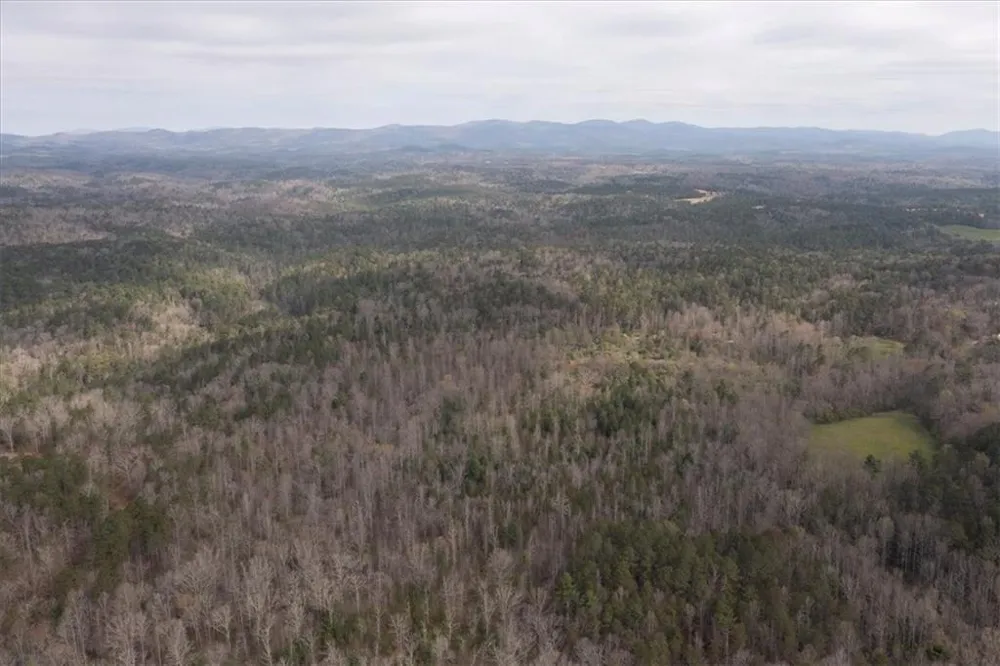 0 Reagan Road Dawsonville, GA 30534