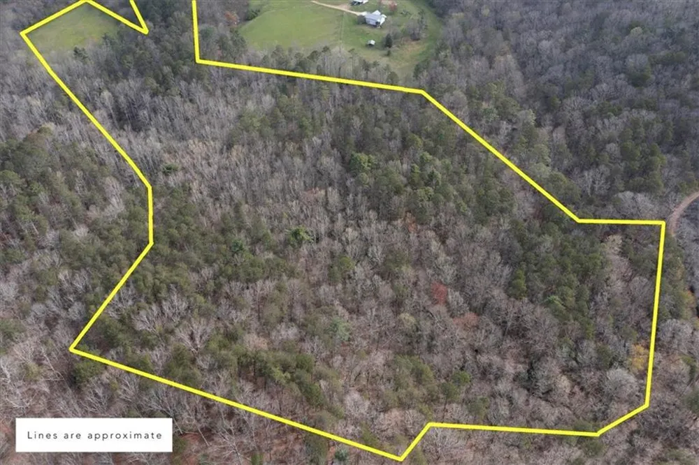 0 Reagan Road Dawsonville, GA 30534