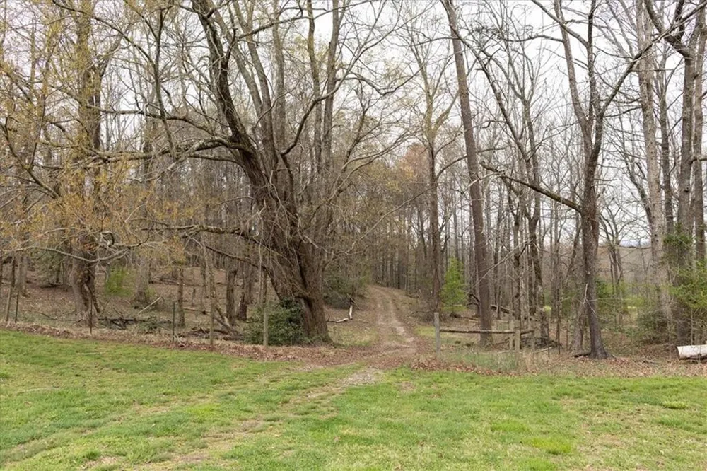 0 Reagan Road Dawsonville, GA 30534