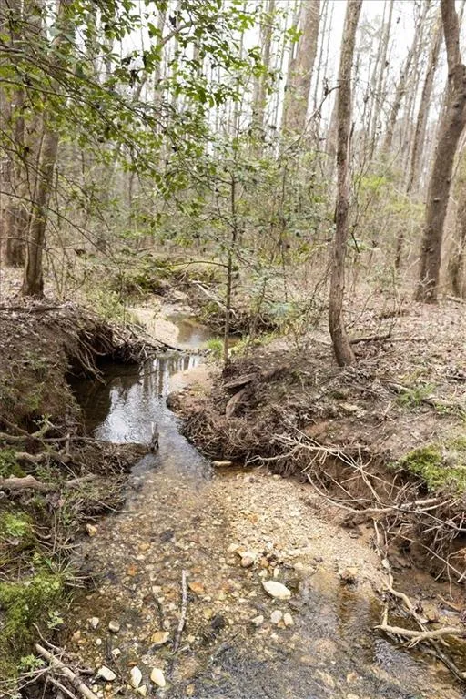 0 Reagan Road Dawsonville, GA 30534