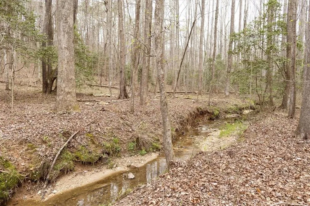 0 Reagan Road Dawsonville, GA 30534