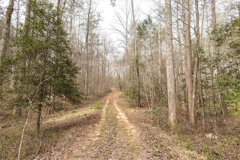 0 Reagan Road Dawsonville, GA 30534