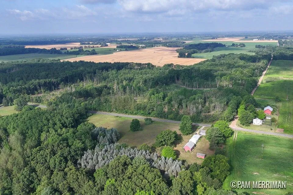 Youngman Road Trufant, MI 49347