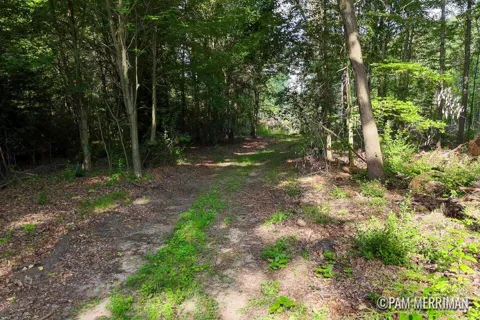 Youngman Road