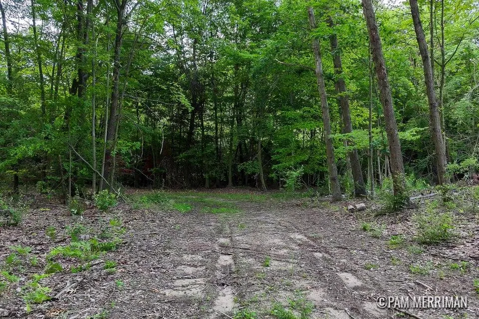 Youngman Road Trufant, MI 49347