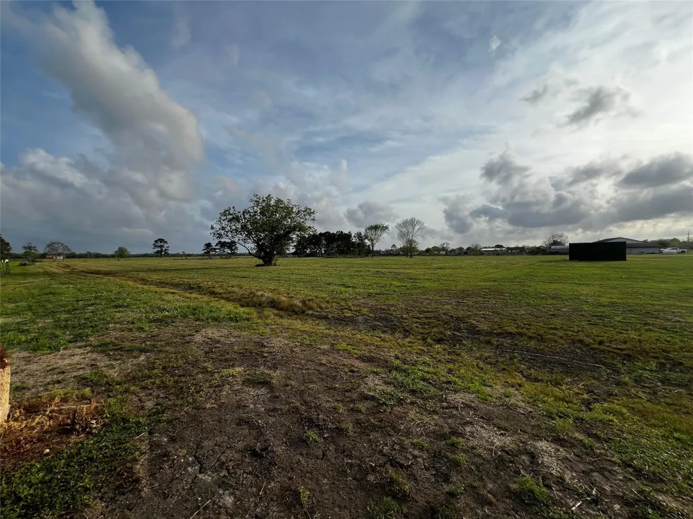 9715 County Road 171 Liverpool, TX 77577