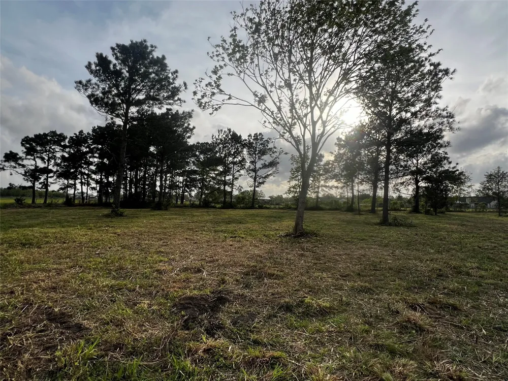 9715 County Road 171 Liverpool, TX 77577