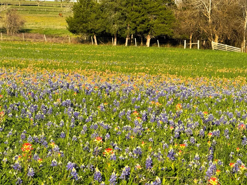 9058 Sam Houston Road Brenham, TX 77833