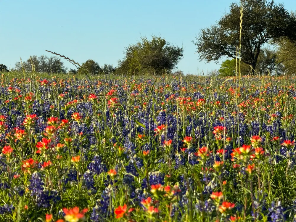 9058 Sam Houston Road Brenham, TX 77833