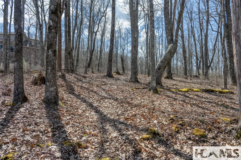 Lot 63 New Settler's Way Glenville, NC 28736