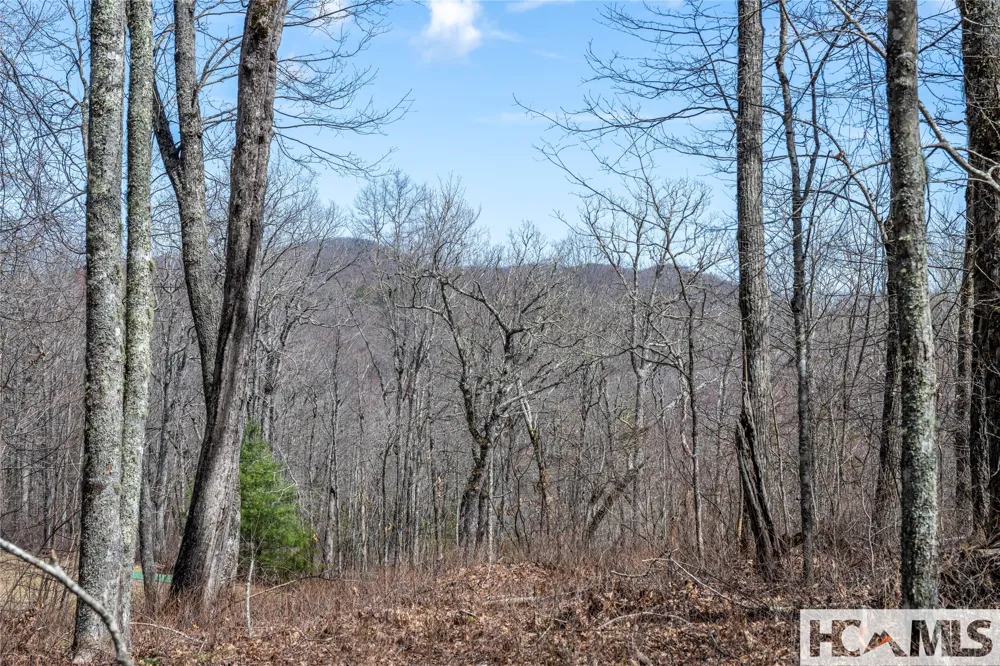 Lot 63 New Settler's Way Glenville, NC 28736
