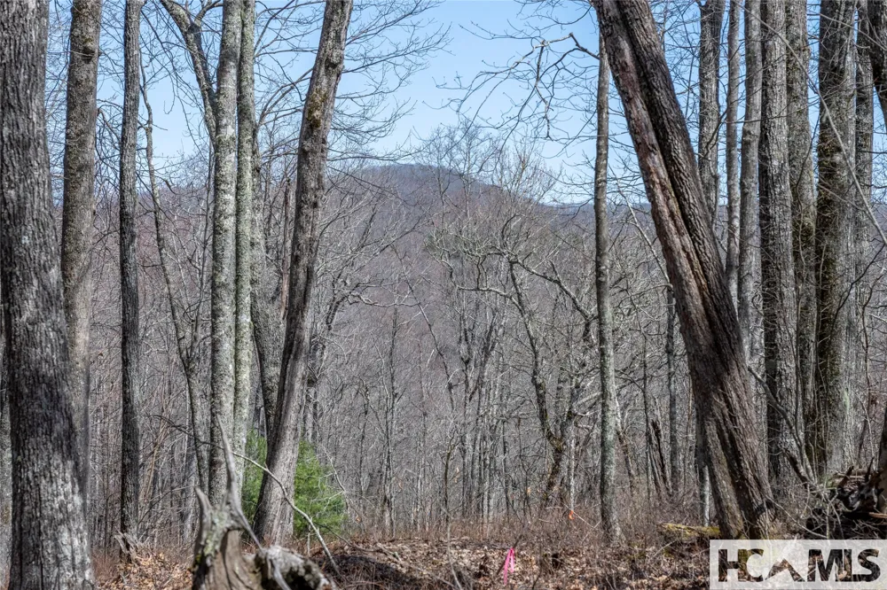 Lot 63 New Settler's Way Glenville, NC 28736