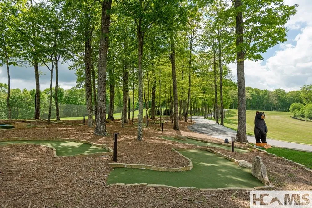 Lot 63 New Settler's Way Glenville, NC 28736