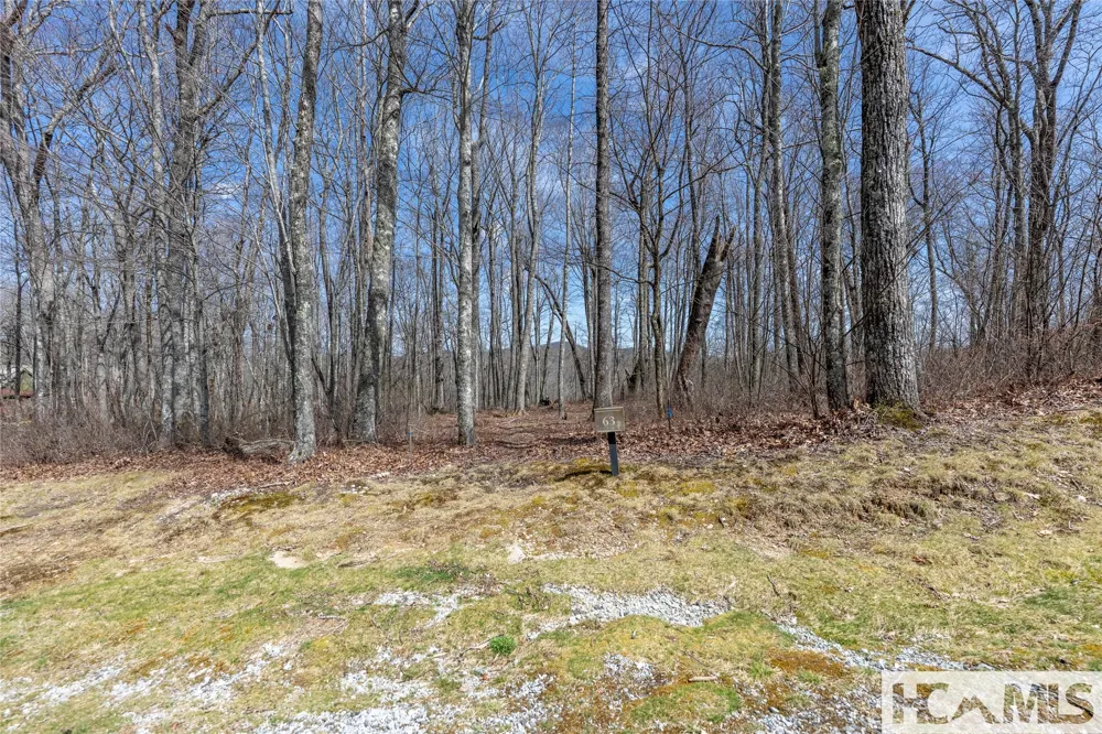 Lot 63 New Settler's Way Glenville, NC 28736