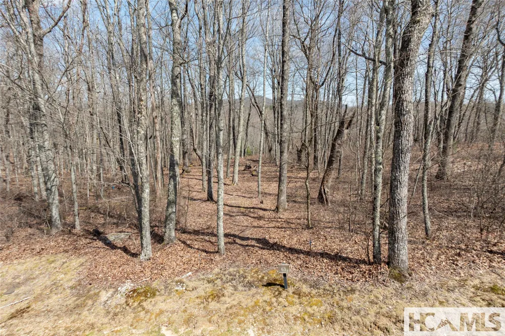 Lot 63 New Settler's Way Glenville, NC 28736