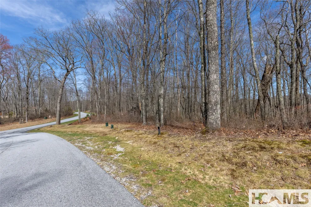 Lot 63 New Settler's Way Glenville, NC 28736