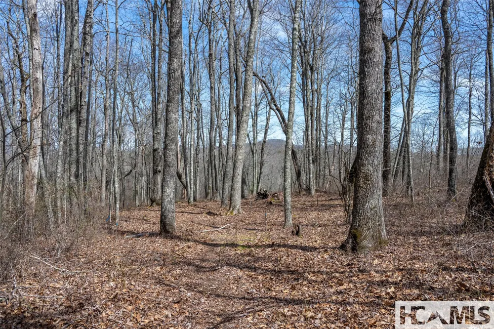 Lot 63 New Settler's Way Glenville, NC 28736