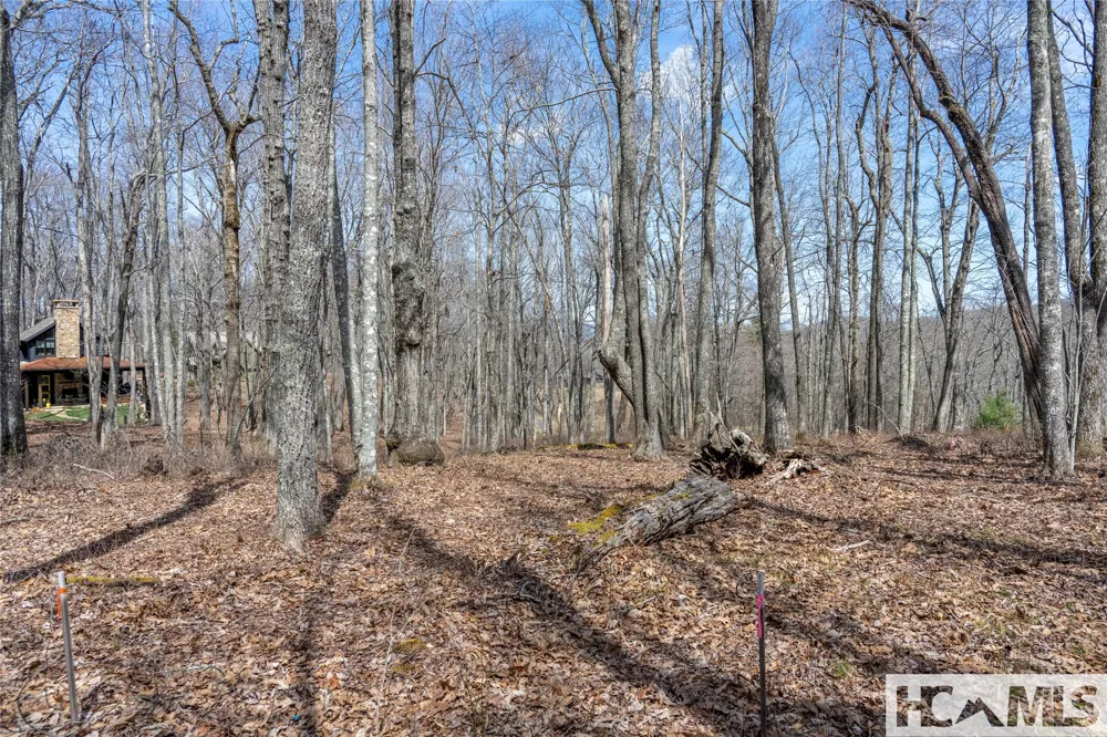 Lot 63 New Settler's Way Glenville, NC 28736