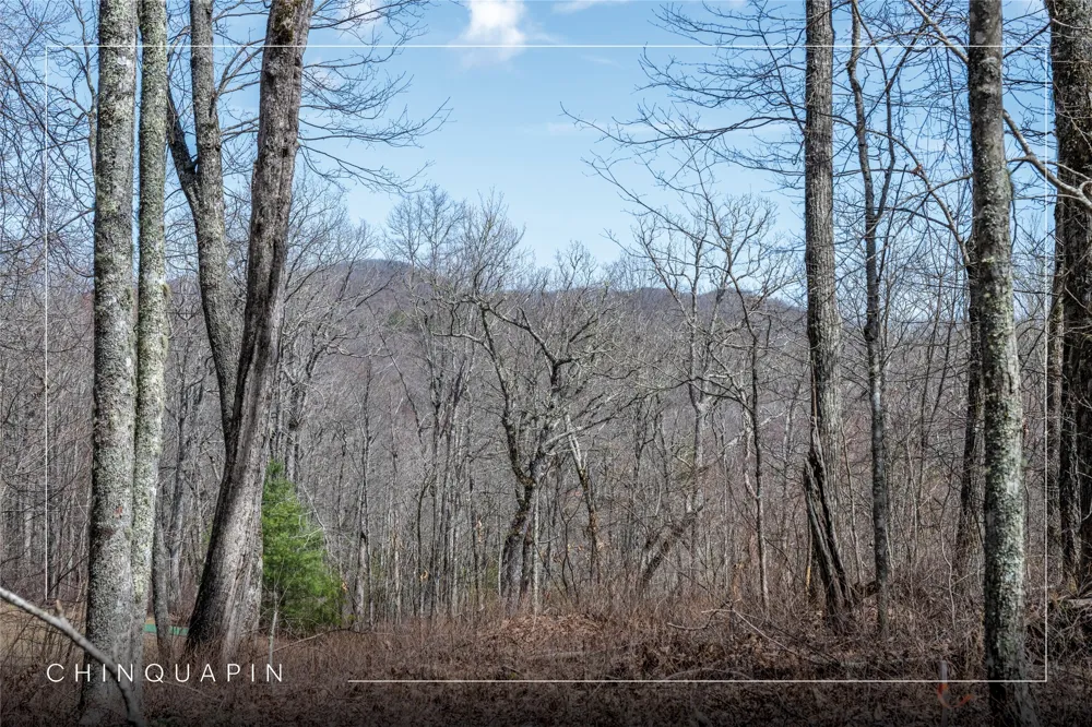 Lot 63 New Settler's Way Glenville, NC 28736