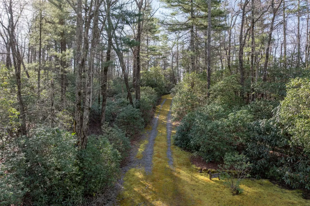 TRP 1 Cardinal Drive West Lake Toxaway, NC 28747