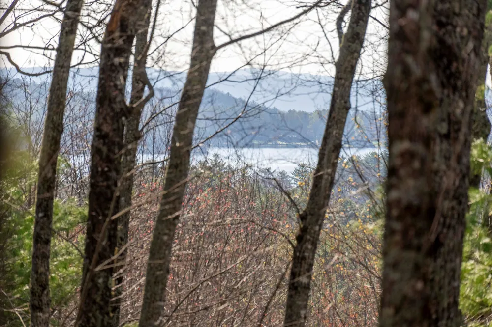 TRP 1 Cardinal Drive West Lake Toxaway, NC 28747
