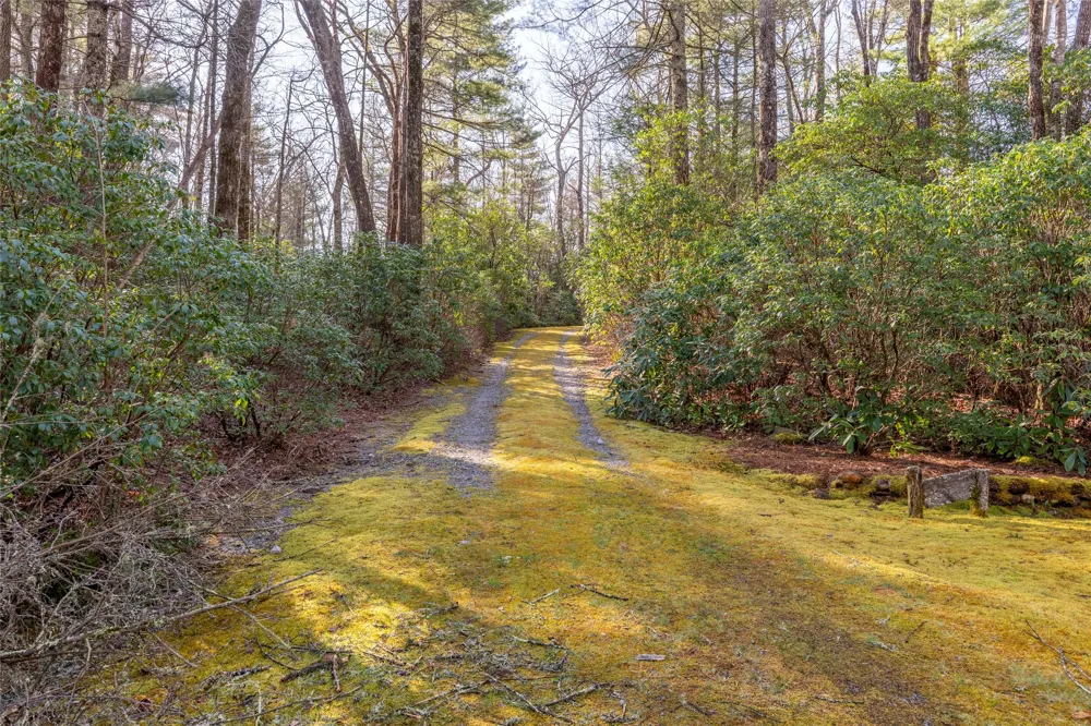 TRP 1 Cardinal Drive West Lake Toxaway, NC 28747