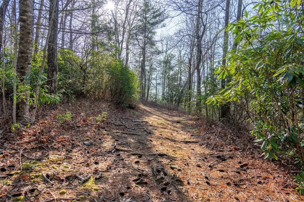 TRP 1 Cardinal Drive West Lake Toxaway, NC 28747