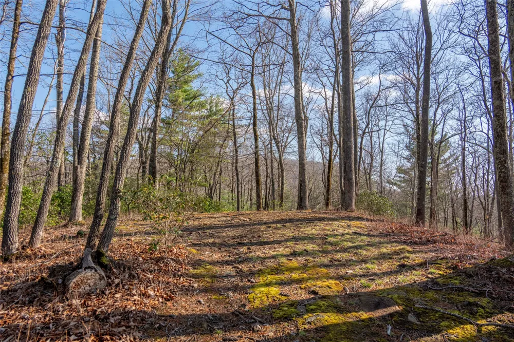 TRP 1 Cardinal Drive West Lake Toxaway, NC 28747